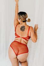Ruby Lace Knickers